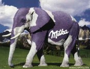 Milka-slon